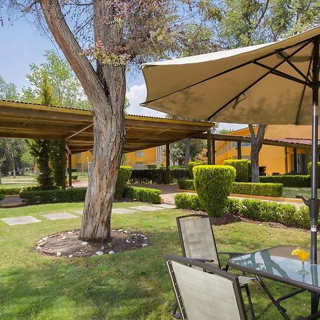 Gamma Pachuca Otel Dış mekan fotoğraf