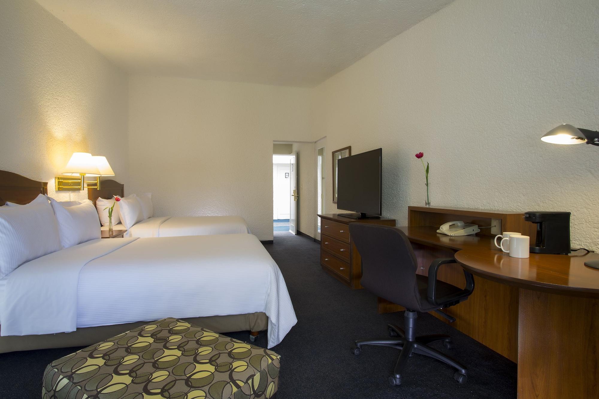 Gamma Pachuca Otel Dış mekan fotoğraf