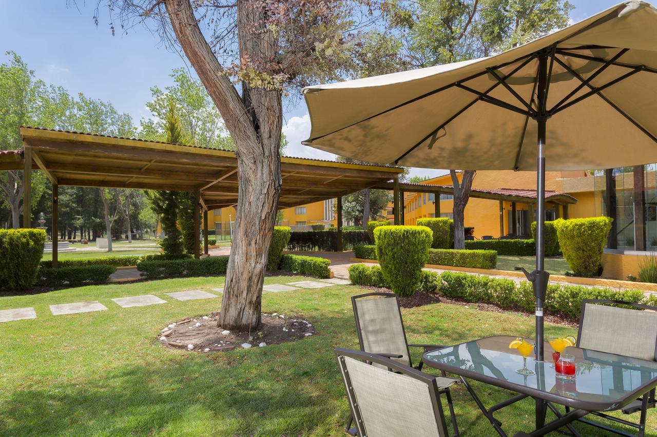 Gamma Pachuca Otel Dış mekan fotoğraf